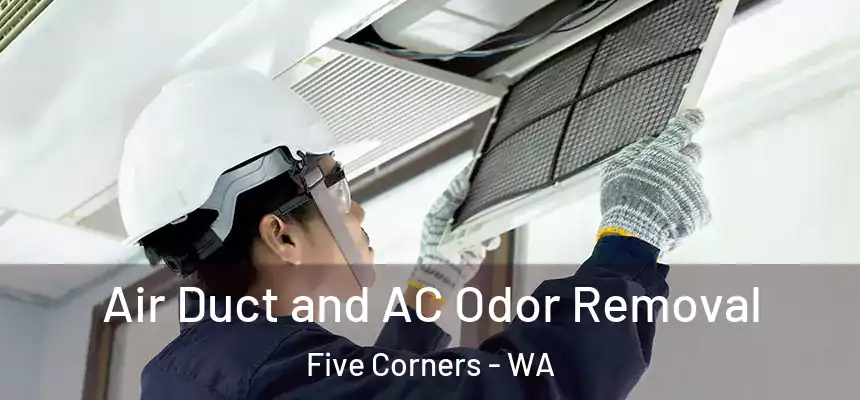 Air Duct and AC Odor Removal Five Corners - WA