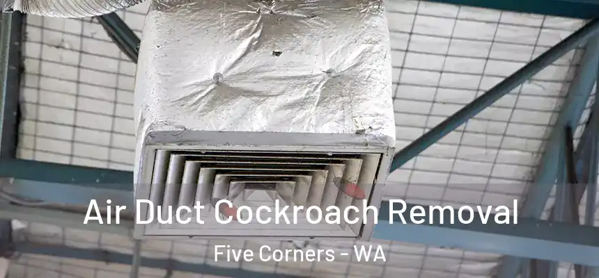  Air Duct Cockroach Removal Five Corners - WA
