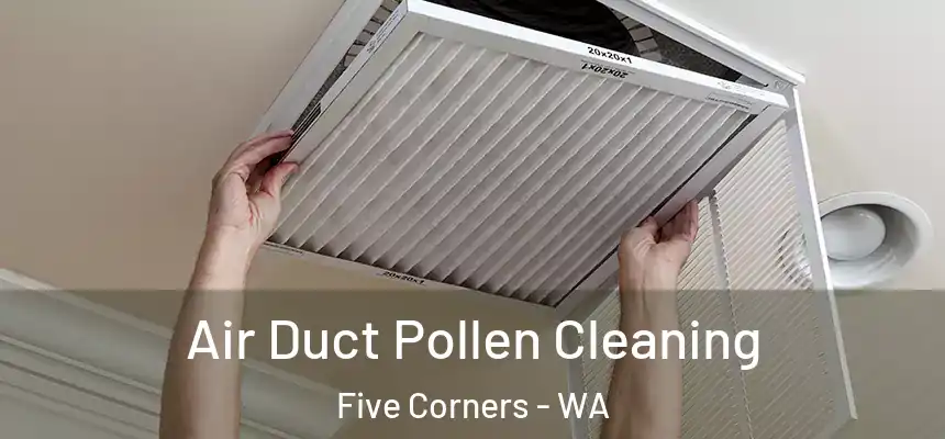  Air Duct Pollen Cleaning Five Corners - WA