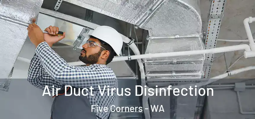 Air Duct Virus Disinfection Five Corners - WA
