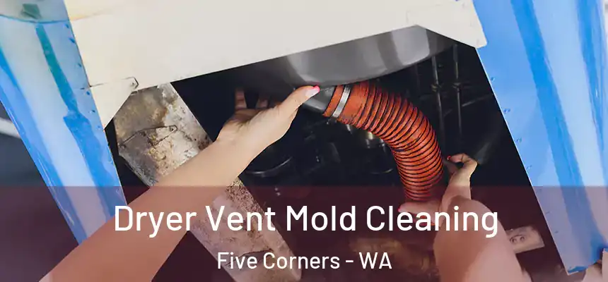 Dryer Vent Mold Cleaning Five Corners - WA