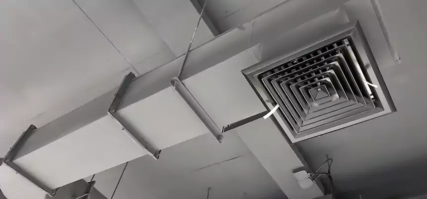 Our Pest Removal From Ducts Services in Five Corners, WA