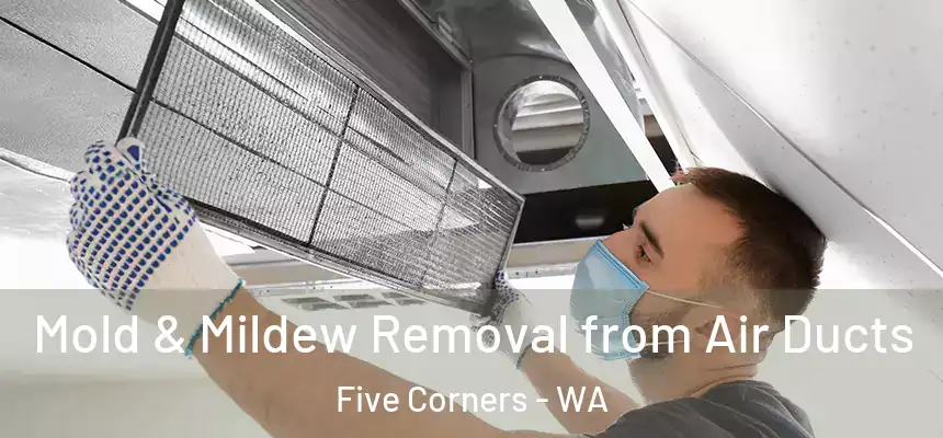  Mold & Mildew Removal from Air Ducts Five Corners - WA
