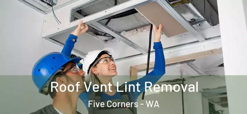 Roof Vent Lint Removal Five Corners - WA