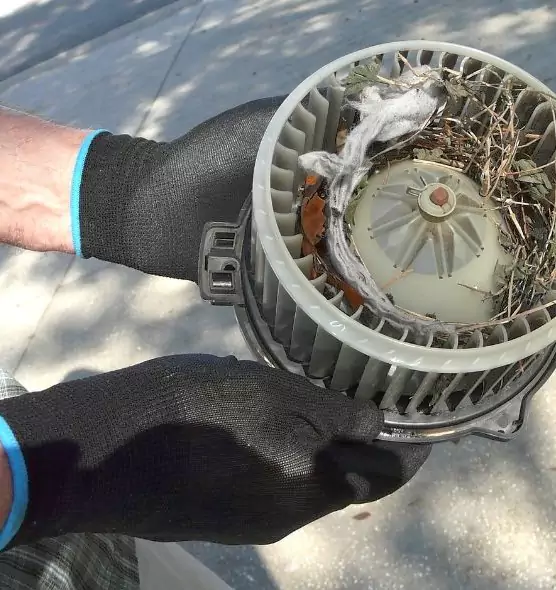 About Air Duct Rat Removal in Five Corners, WA