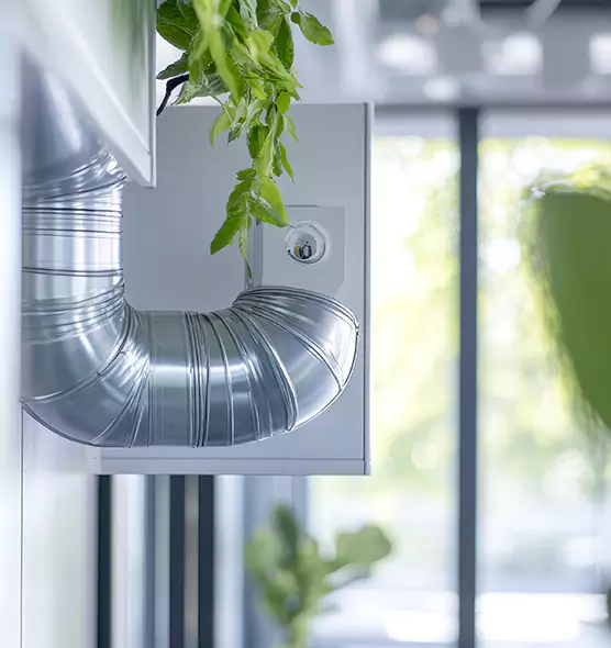 Professional Eco-Safe Dryer Vent Cleaning in Five Corners, WA