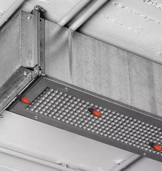 Affordable Insect Removal from Air Ducts in Five Corners, WA